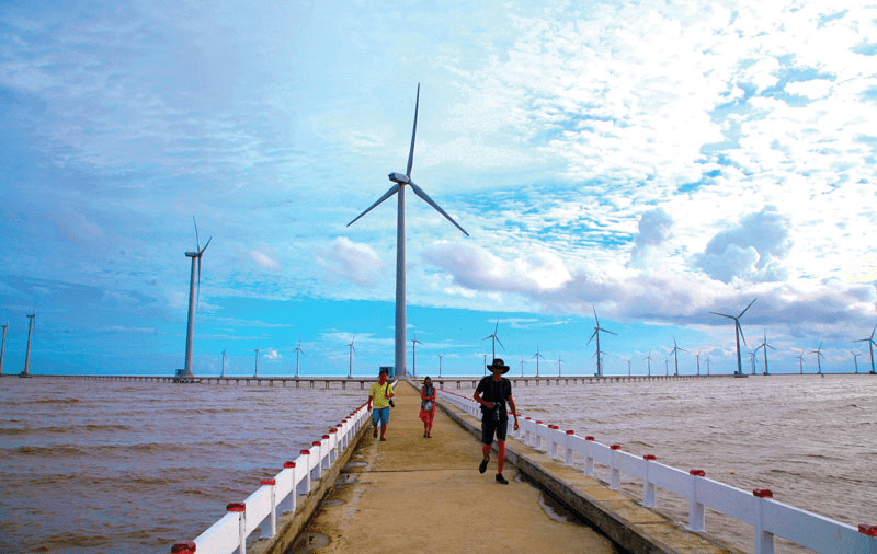 Tourists visit and take photos of wind power fields