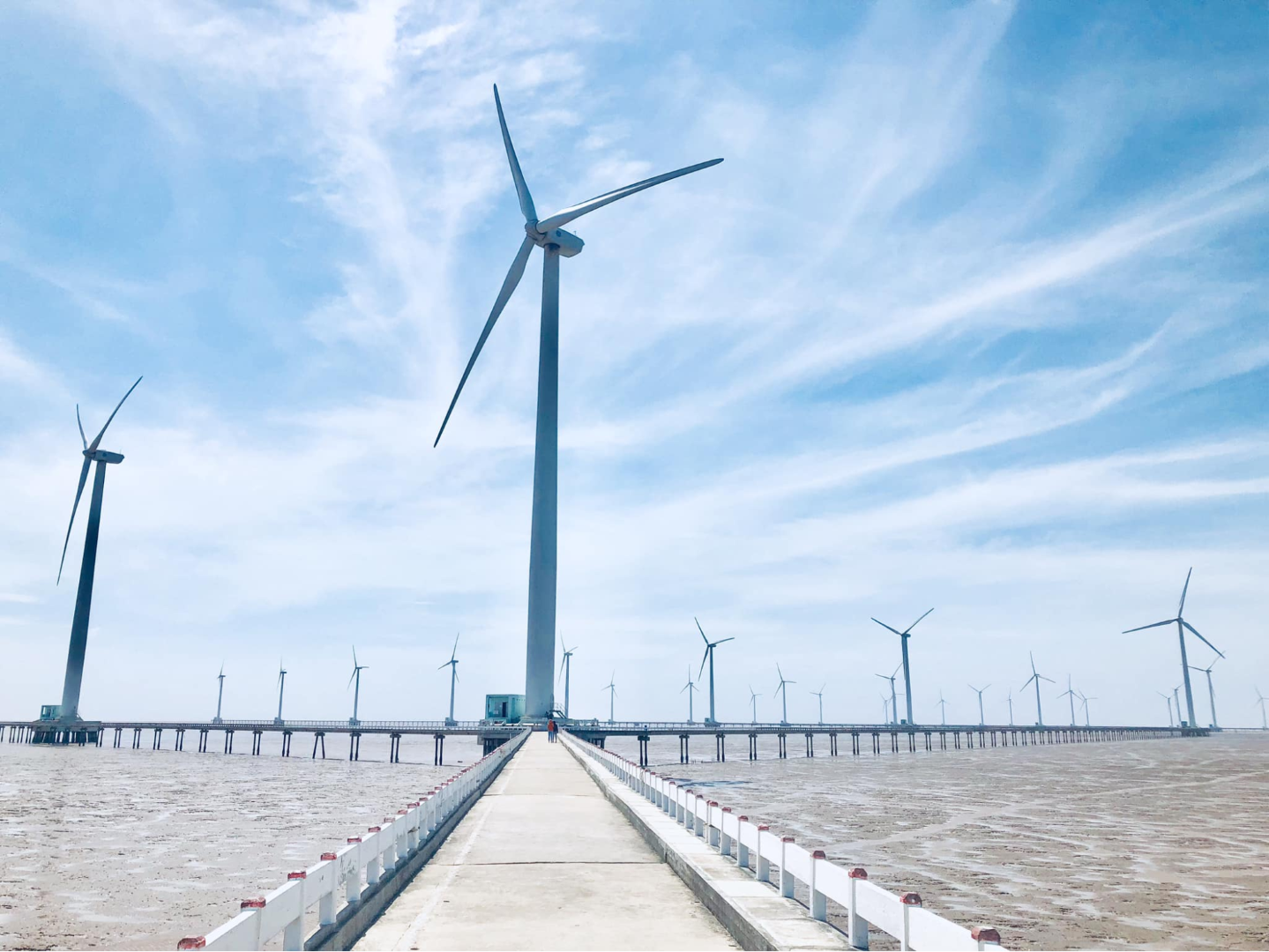 Things to note when visiting Bac Lieu wind farms