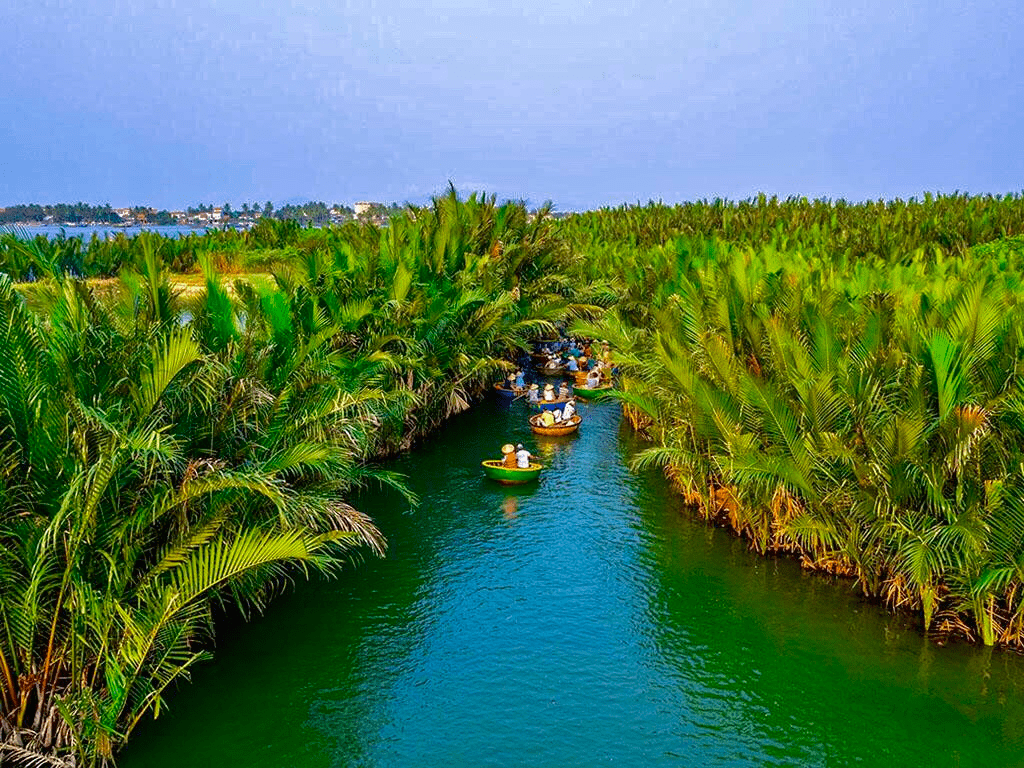 The beauty of Ben Tre coconut land