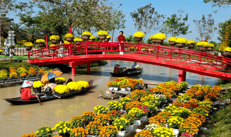 Tourists come to Sa Dec flower village