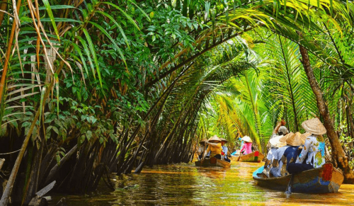 Ben Tre Coconut - Vietnam coconut Kingdom