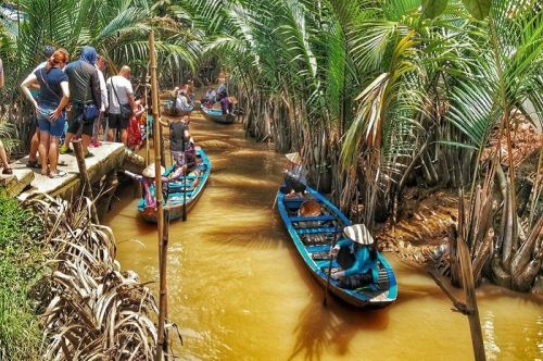 Discover Giong Trom: The hidden gem of Vietnam’s coconut land