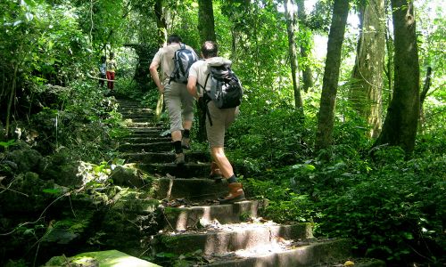 Cuc Phuong National Park - Mai Chau