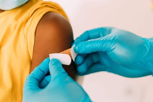 Vietnam Travel Vaccinations: Which ones you actually need 
