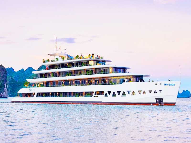 elit-of-the-seas-cruise