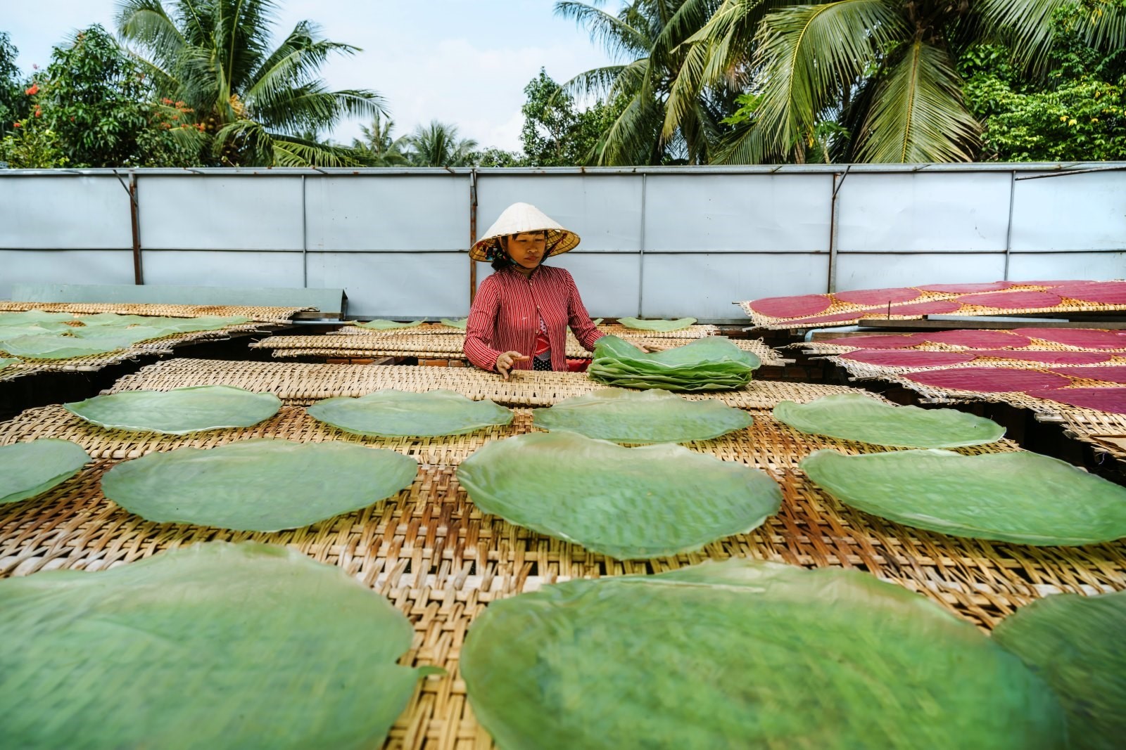 mekong-delta-cantho-sinhcafedmc-17-