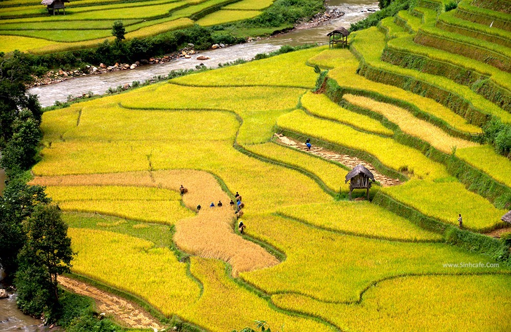september-to-october-is-the-most-popular-time-to-visit-khau-pha-pass