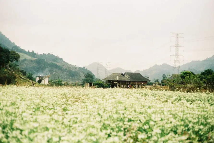 north-vietnam-itinerary