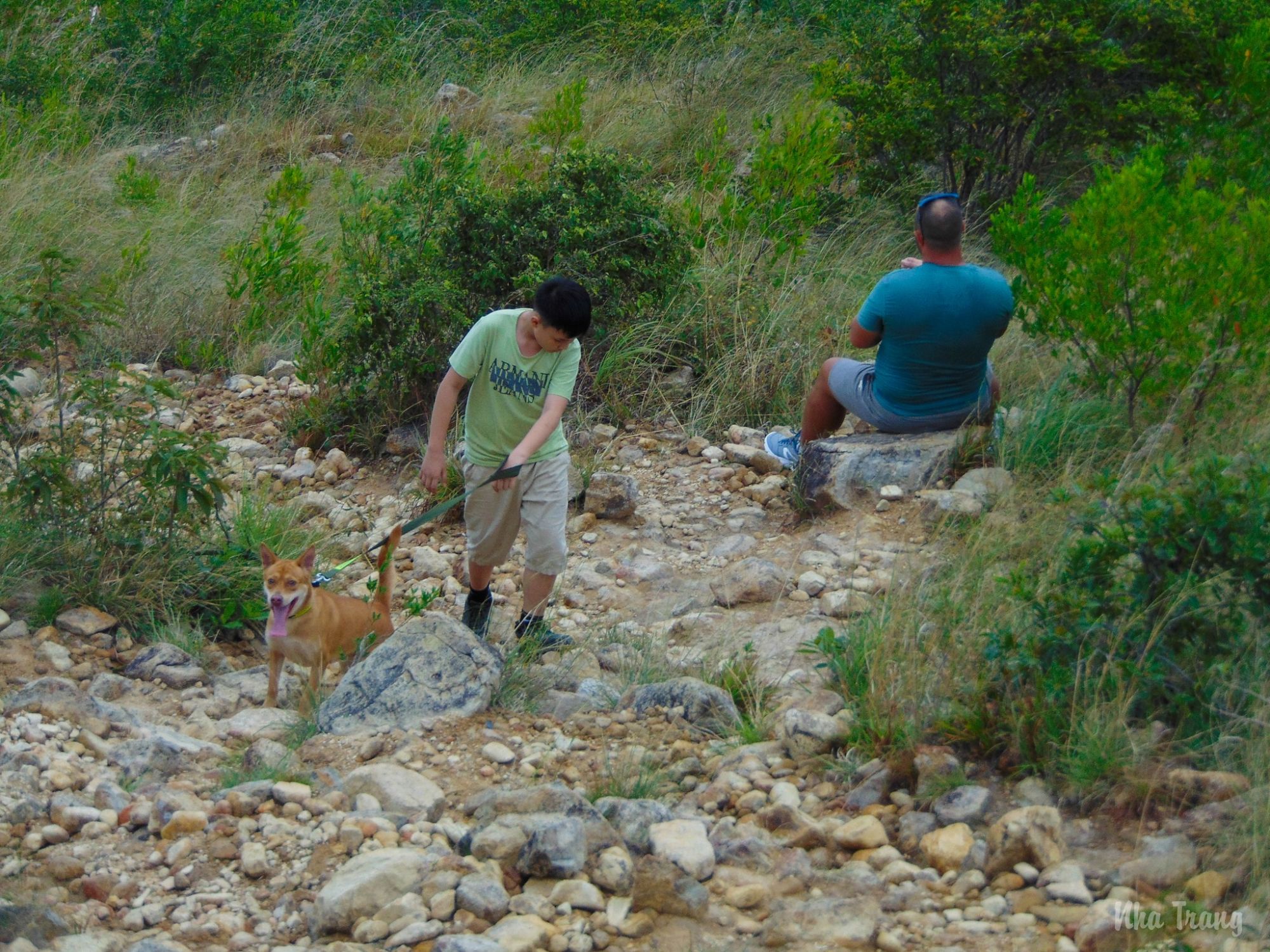 Trekking and light hiking experience