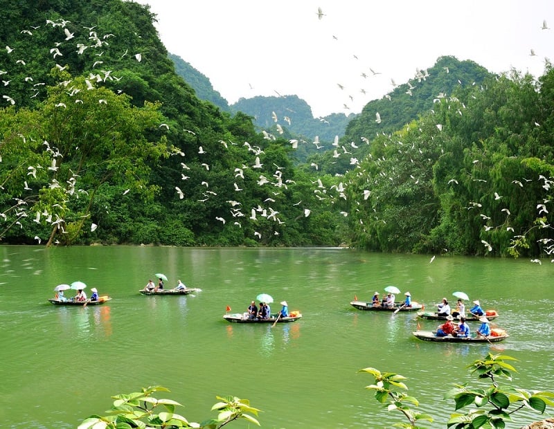 Birdwatching at Thung Nham Bird Park