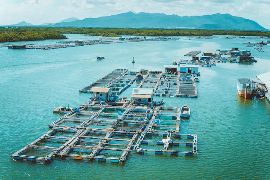 long-son-raft-village