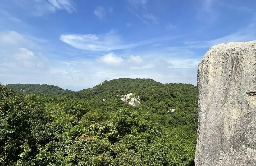 nh-minh-dam