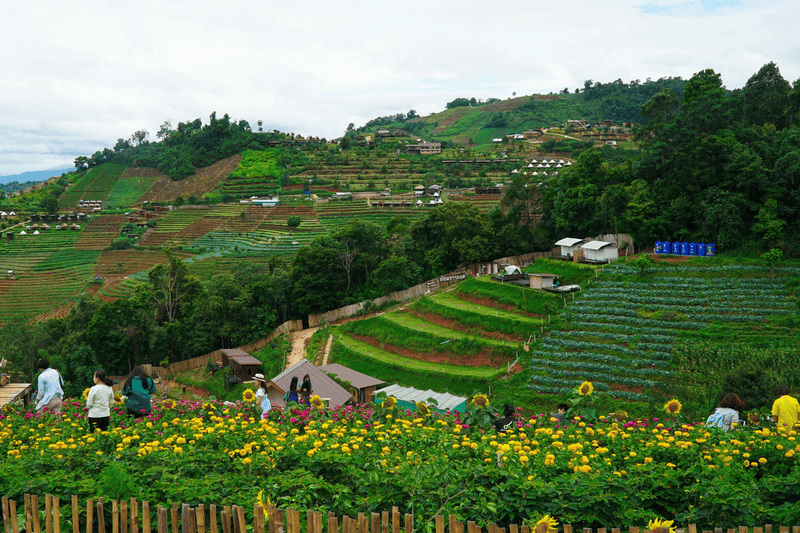 hanoi-or-chiang-mai-1-13-