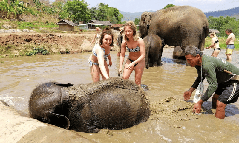 hanoi-or-chiang-mai-1-18-