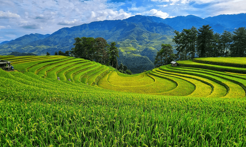 vietnam-ini-8-days-5-