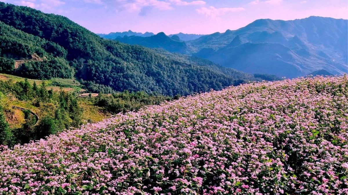 visit-ha-giang-in-november-3.jpg